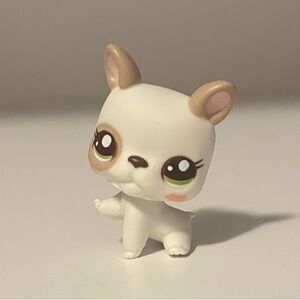 Authentic Littlest Pet Shop #2554 Cutest Pets Baby Bulldog